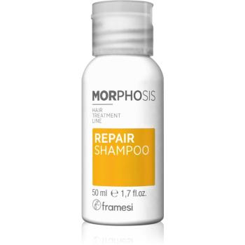 Framesi Morphosis Repair vyživující šampon pro obnovu a posílení vlasů 50 ml