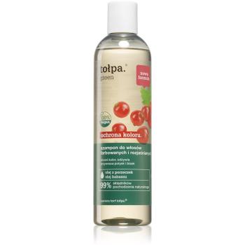 Tołpa Green Color Protect rozjasňující a posilující šampon pro barvené vlasy 300 ml