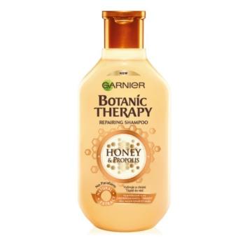 Garnier Šampon s medem a propolisem na velmi poškozené vlasy Botanic Therapy (Repairing Shampoo) 400 ml