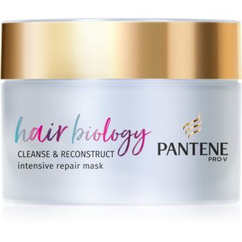 Pantene Hair Biology Cleanse & Reconstruct maska na vlasy pro poškozené vlasy 160 ml
