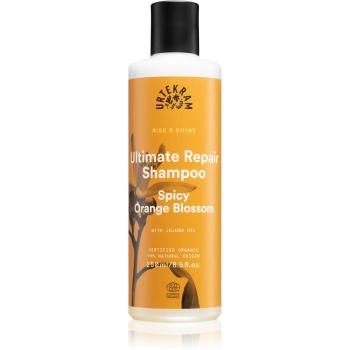 Urtekram Spicy Orange Blossom šampon pro suché a poškozené vlasy 250 ml