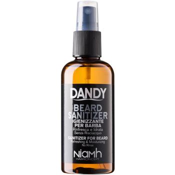 DANDY Beard Sanitizer bezoplachový čisticí sprej na vousy 100 ml