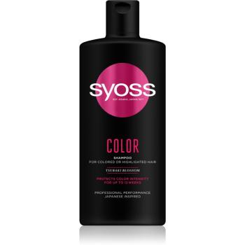 Syoss Color Tsubaki Blossom šampon pro barvené vlasy 440 ml