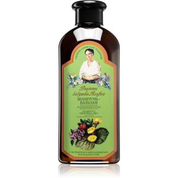 Babushka Agafia Wild Sweet William šampon a kondicionér 2 v 1 s regeneračním účinkem 350 ml