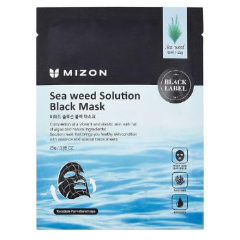 Mizon Vyživující maska s mořskou řasou (Sea Weed Solution Black Mask) 25 g
