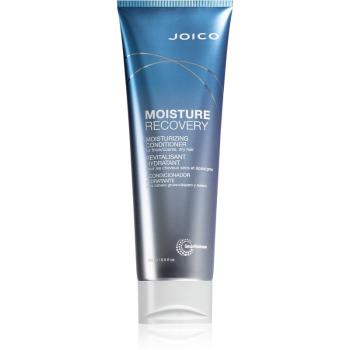 Joico Moisture Recovery hydratační kondicionér pro suché vlasy 250 ml