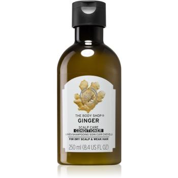 The Body Shop Ginger kondicionér pro suché vlasy a citlivou pokožku hlavy 250 ml