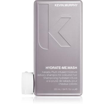 Kevin Murphy Hydrate - Me Wash hydratační šampon pro barvené vlasy 250 ml