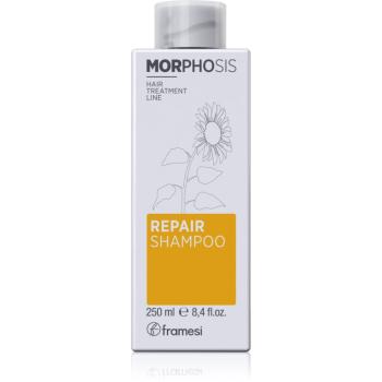 Framesi Morphosis Repair vyživující šampon pro obnovu a posílení vlasů 250 ml
