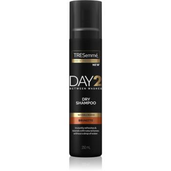 TRESemmé Day 2 Brunette suchý šampon pro hnědé odstíny vlasů 250 ml
