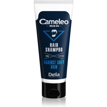 Delia Cosmetics Cameleo Men šampon proti šedivění tmavých vlasů 150 ml