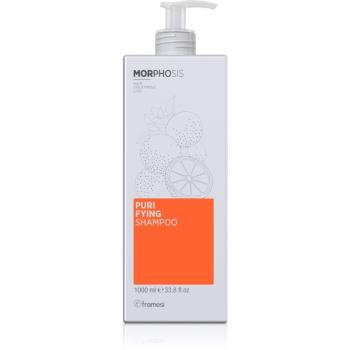 Framesi Morphosis Purifying čisticí šampon proti lupům 1000 ml