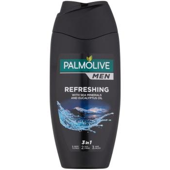 Palmolive Men Refreshing sprchový gel pro muže 3 v 1 250 ml