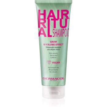 Dermacol Hair Ritual obnovující šampon pro objem vlasů 250 ml