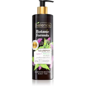 Bielenda Botanic Formula Burdock + Nettle šampon pro mastné vlasy 400 g