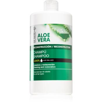 Dr. Santé Aloe Vera posilující šampon s aloe vera 1000 ml