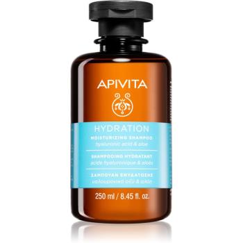 Apivita Holistic Hair Care Hyaluronic Acid & Aloe hydratační šampon pro všechny typy vlasů 250 ml