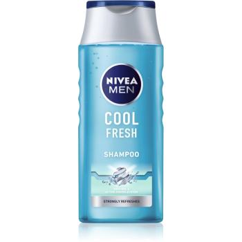 Nivea Men Cool šampon pro normální až mastné vlasy 250 ml