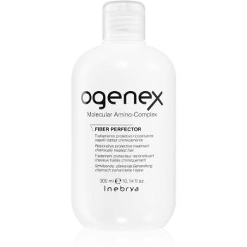 Inebrya Ogenex obnovující péče pro chemicky ošetřené vlasy 300 ml