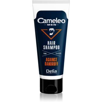 Delia Cosmetics Cameleo Men šampon proti lupům pro muže 150 ml