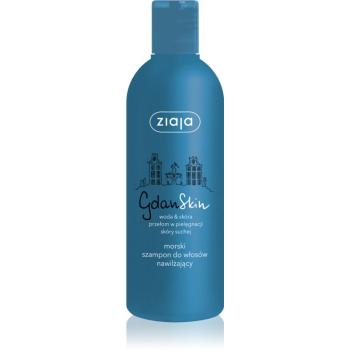 Ziaja Gdan Skin hydratační a ochranný šampon 300 ml