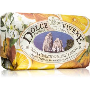 Nesti Dante Dolce Vivere Capri přírodní mýdlo 250 g