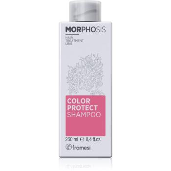 Framesi Morphosis Color Protect šampon na ochranu barvy 250 ml