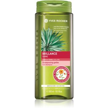 Yves Rocher Brillance čisticí šampon pro lesk a hebkost vlasů 300 ml