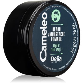 Delia Cosmetics Cameleo Men vosk na vousy 50 g