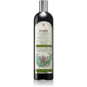 Babushka Agafia Traditional Siberian Birch Propolis obnovující šampon 550 ml