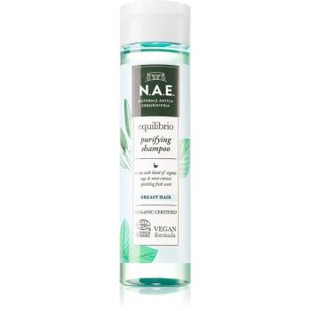 N.A.E. Equilibrio osvěžující šampon pro mastné vlasy 250 ml