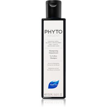 Phyto Phytargent šampon pro šedivé vlasy 200 ml