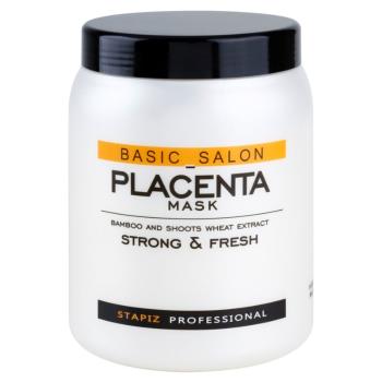 Stapiz Basic Salon Placenta hydratační maska pro lámavé a namáhané vlasy 1000 ml