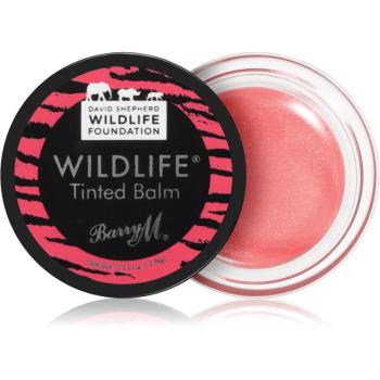 Barry M Wildlife tónující balzám na rty odstín Sunset Pink 3.6 g