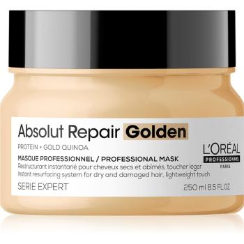 L’Oréal Professionnel Serie Expert Absolut Repair Gold Quinoa + Protein regenerační maska pro suché a poškozené vlasy 250 ml