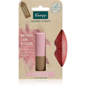 Kneipp Natural Care & Color tónovací balzám na rty odstín Natural Rosé 3,5 g