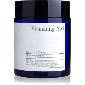 Pyunkang Yul Moisture Cream hydratační krém na obličej 100 ml