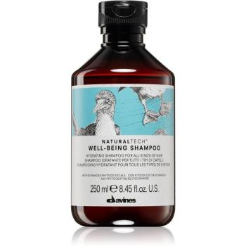 Davines Naturaltech Well-Being šampon pro všechny typy vlasů 250 ml