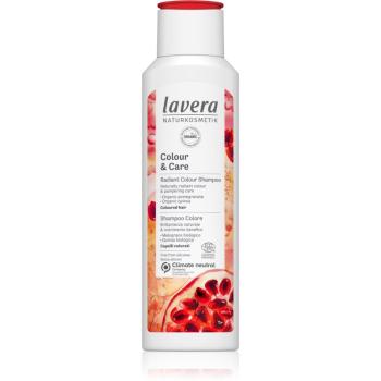 Lavera Colour & Care šampon pro barvené vlasy 250 ml