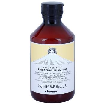 Davines Naturaltech Purifying čisticí šampon proti lupům 250 ml