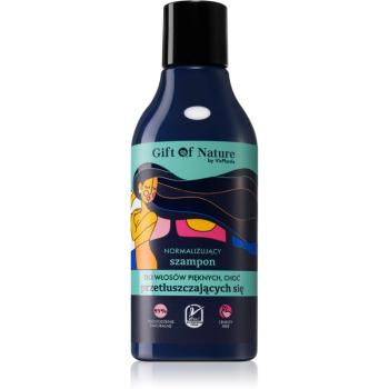 Vis Plantis Gift of Nature šampon pro mastné vlasy 300 ml