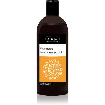 Ziaja Family Shampoo šampon pro barvené vlasy 500 ml