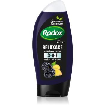 Radox Men Feel Wild sprchový gel a šampon 2 v 1 Blackberry & Ginger 250 ml