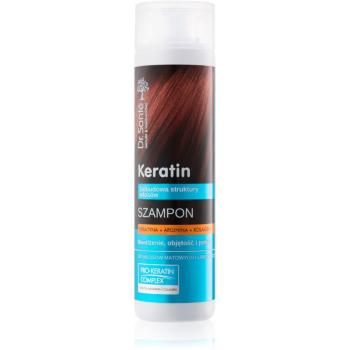 Dr. Santé Keratin regenerační a hydratační šampon pro křehké vlasy bez lesku 250 ml