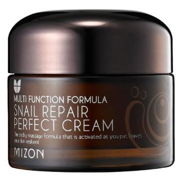 Mizon Pleťový krém s filtrátem hlemýždího sekretu 60% pro problematickou pleť (Snail Repair Perfect Cream) 50 ml