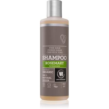 Urtekram Rosemary vlasový šampon pro jemné vlasy 250 ml