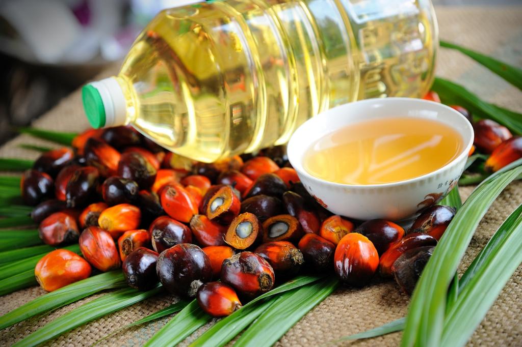Palmový olej 